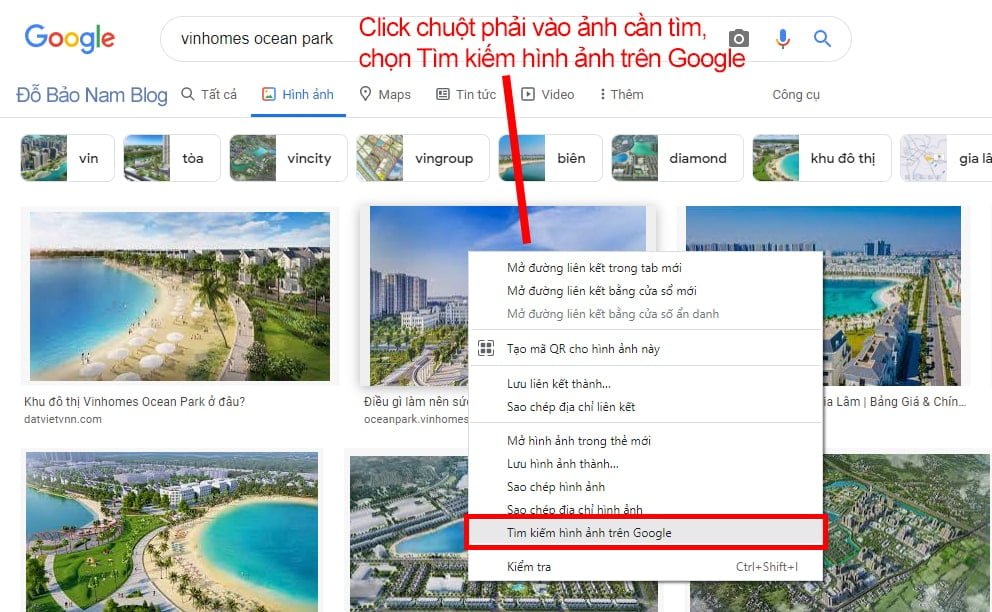 Click chuột phải vào ảnh cần tìm, chọn Tìm kiếm hình ảnh trên Google