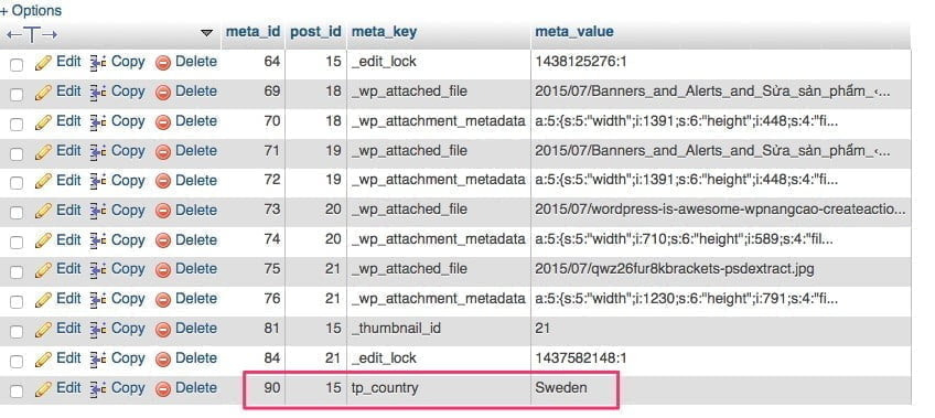 wordpress-custom-field-database