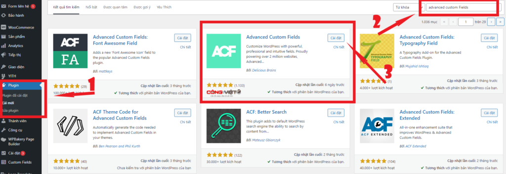 Cách tải Plugin Advanced Custom Fields Pro Miễn Phí